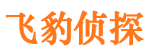 镇平婚外情调查取证